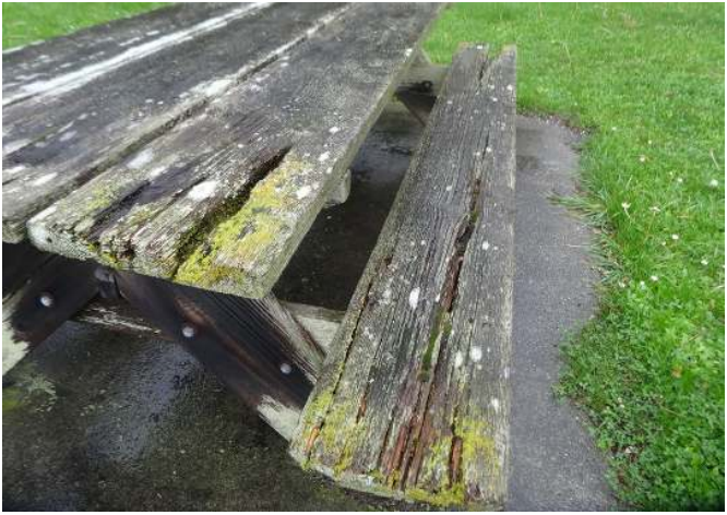 Parks_WA's tweet photo. We awarded $1,000 to replace picnic table boards at #DeceptionPass State Park http://t.co/e0hS8PeqAW #WAState #WSPF http://t.co/mkFdgAa96d