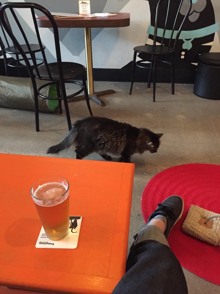 matthavener's tweet photo. #purringtons #clojurewest http://t.co/pYq0A2z2UP