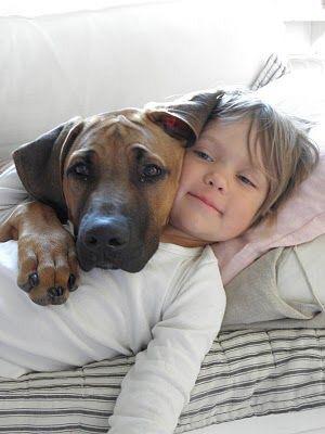 DankroftK9's tweet photo. 💥Un niño educado para proteger a los animales, jamás atentará contra ningún otro ser.🐾❤️ #amor #NoAlMaltratoAnimal http://t.co/gRQ79xbLM8