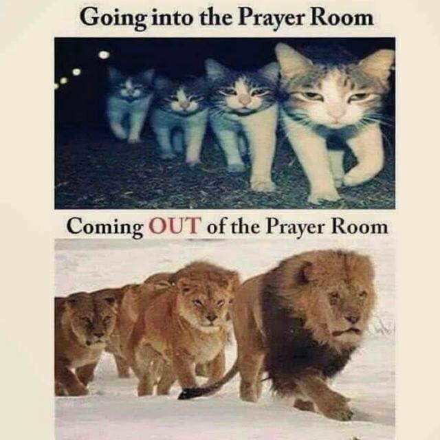 Christian Funny Pics on Twitter: "Going into the prayer 