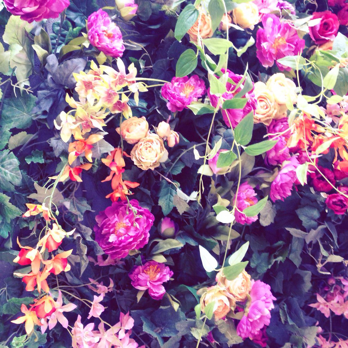 シュプール6月号のカバーを飾ってくれた東方神起の撮影は、花々が咲き誇る壮大なセットを用意して行われました。二人も大変気に入ってくれたロマンティックな写真の数々は、p.114～をチェック！