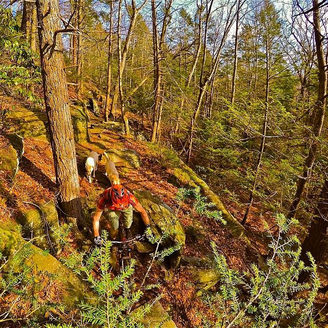 BikesbridgeBeer's tweet photo. #springlight #newengland #xcmtb #loves_scott_bikes #gopro #mtbct #rideplaid #raddogs #Loamlife by waynedevingo http://t.co/n4zUrlx5R2