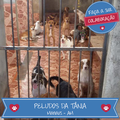Bicharia's tweet photo. Este é um projeto de Manaus que vai te fazer ficar com vontade de colaborar. Duvida? Acessa: http://t.co/BbvTO8m5KT http://t.co/U4OYtMomjF