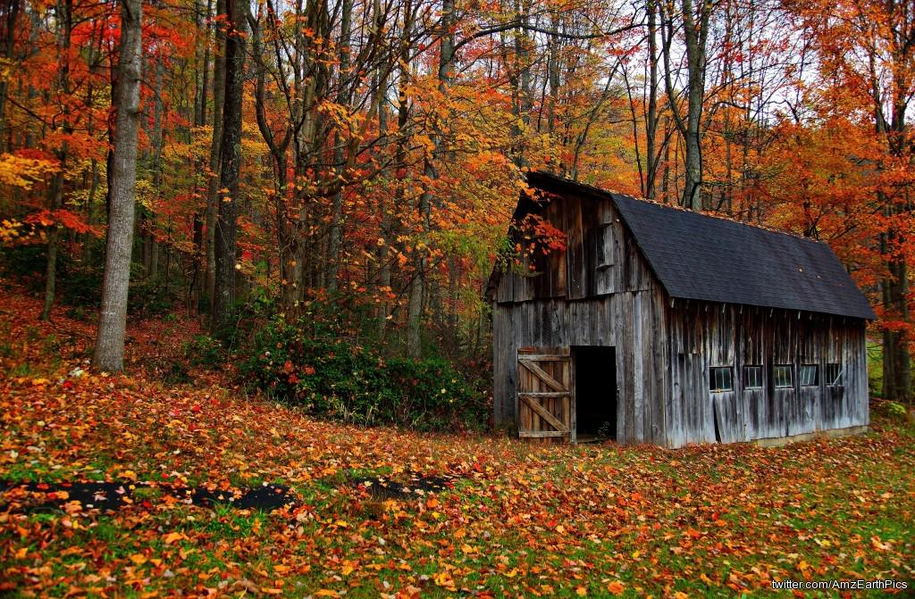 AmzEarthPics's tweet photo. autumn country barn virginia forestwander #autumn #country #barn #virginia #forestwander http://t.co/tXcIEuUMMU