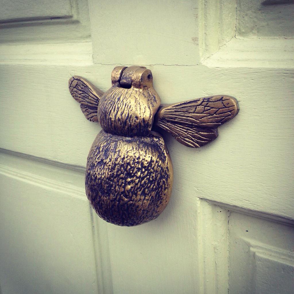knockingnice's tweet photo. Bumblebizzle 🐝 Photo © @HelenCupit #knockingnice http://t.co/3Mru8h9jMC