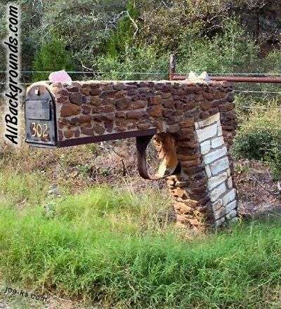 Glen E. Ivey tweet media