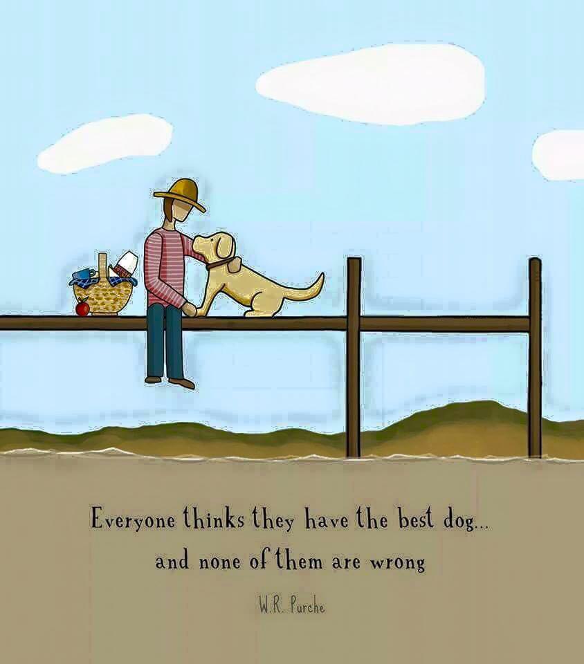 Whatadogneeds tweet picture