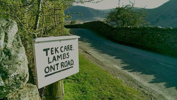 Only in <a href="/Cumbria/">Cumbria</a>. @LakeDistrictPR <a href="/lakedistrictnpa/">Lake District</a> <a href="/cumbriatourism/">Cumbria Tourism</a>