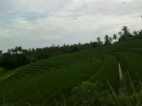 AndriYhasin's tweet photo. http://t.co/pQ3qLrf9Gl
