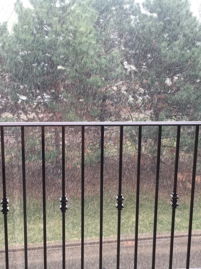 jenny_benkert's tweet image. This stuff that's falling...not okay. 😞 #bringbackspring