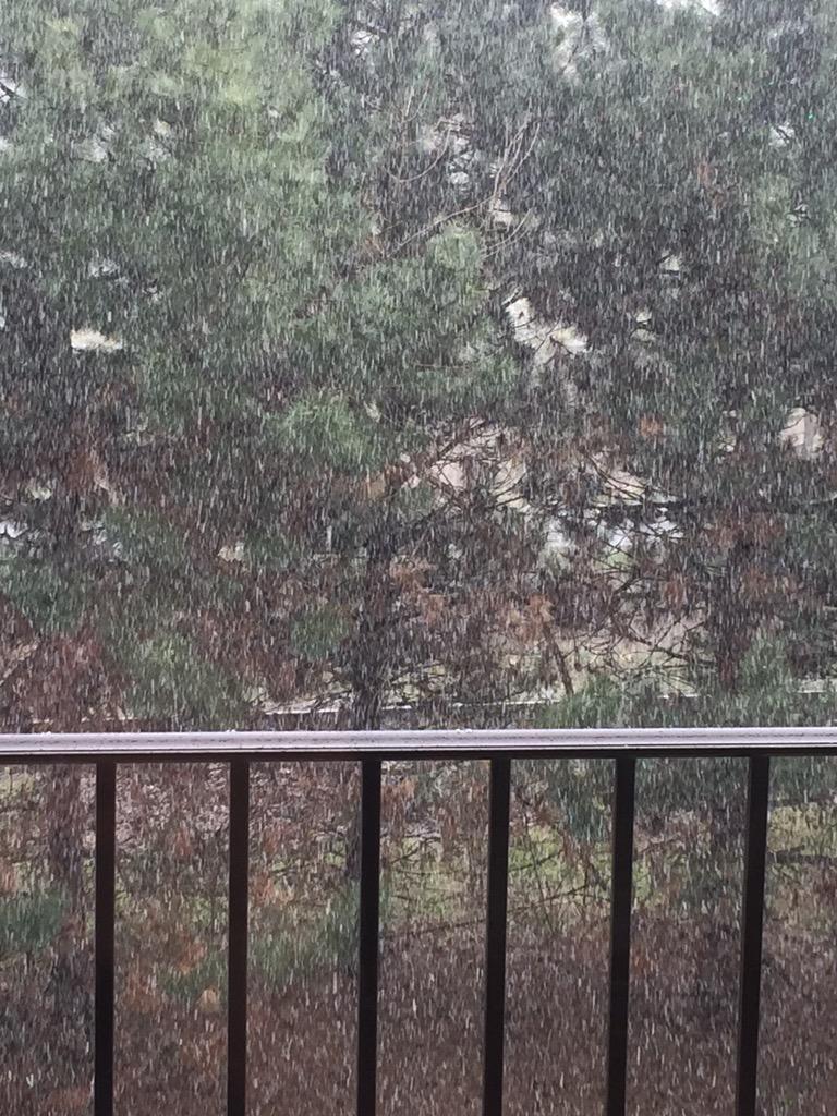 jenny_benkert's tweet image. This stuff that's falling...not okay. 😞 #bringbackspring