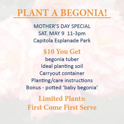 GoldenStateBulb's tweet image. 