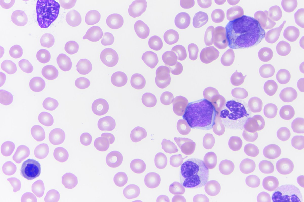 Kristie White, MD tweet media