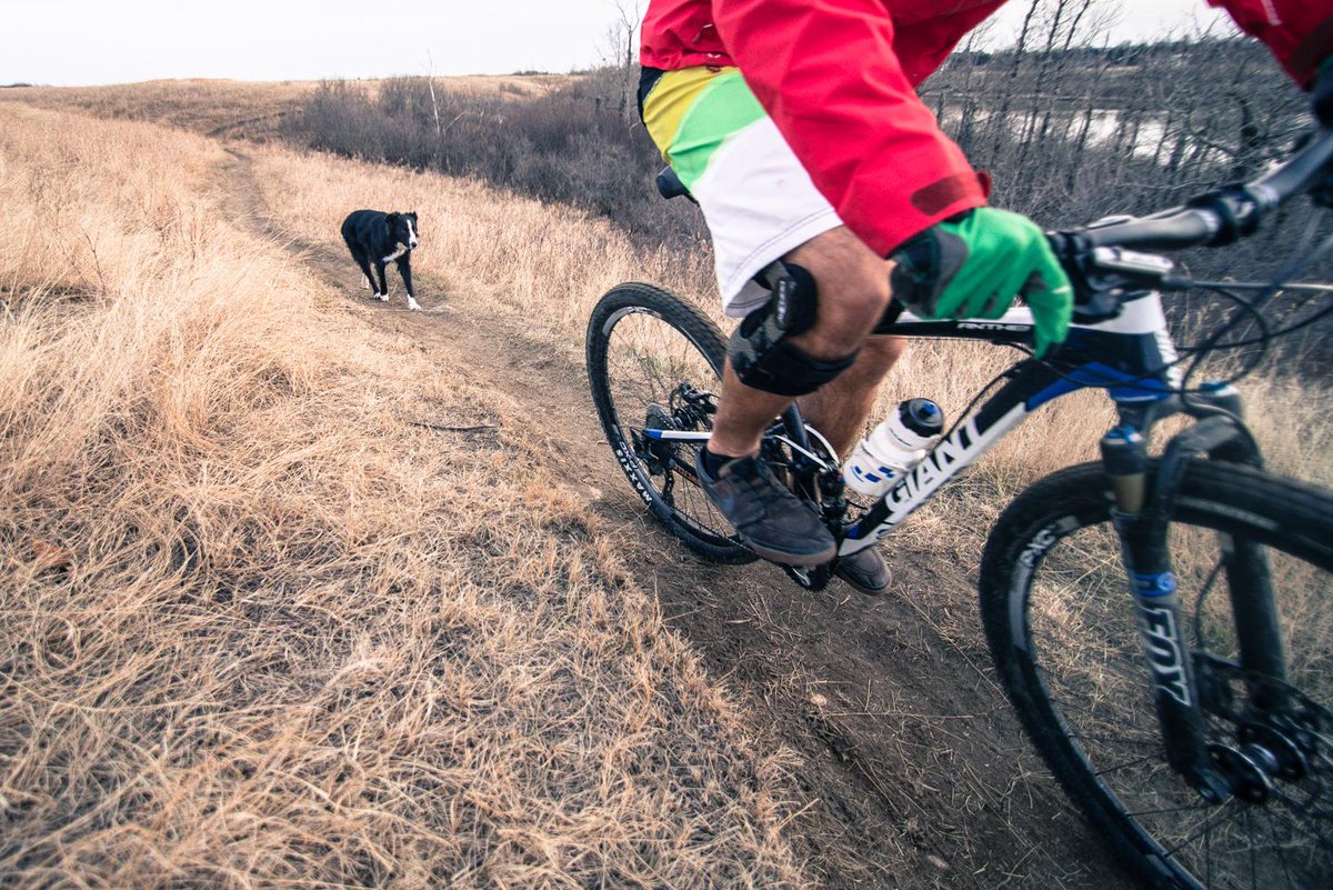 ACL injuries and compromises. <a href="/AlijaBos/">Alija Bos</a> shares his story in today's post! themountainbikelife.com/2015/04/taking…