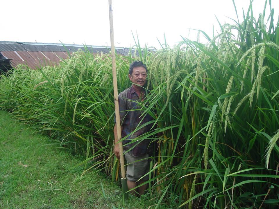 RioDamardjati's tweet photo. Agroecology is fundametalism of Food Sovereignity @DaniNierenberg @SunnivaBloem @worldfarmers @IndonesiaTani http://t.co/DJs8kFjd3F