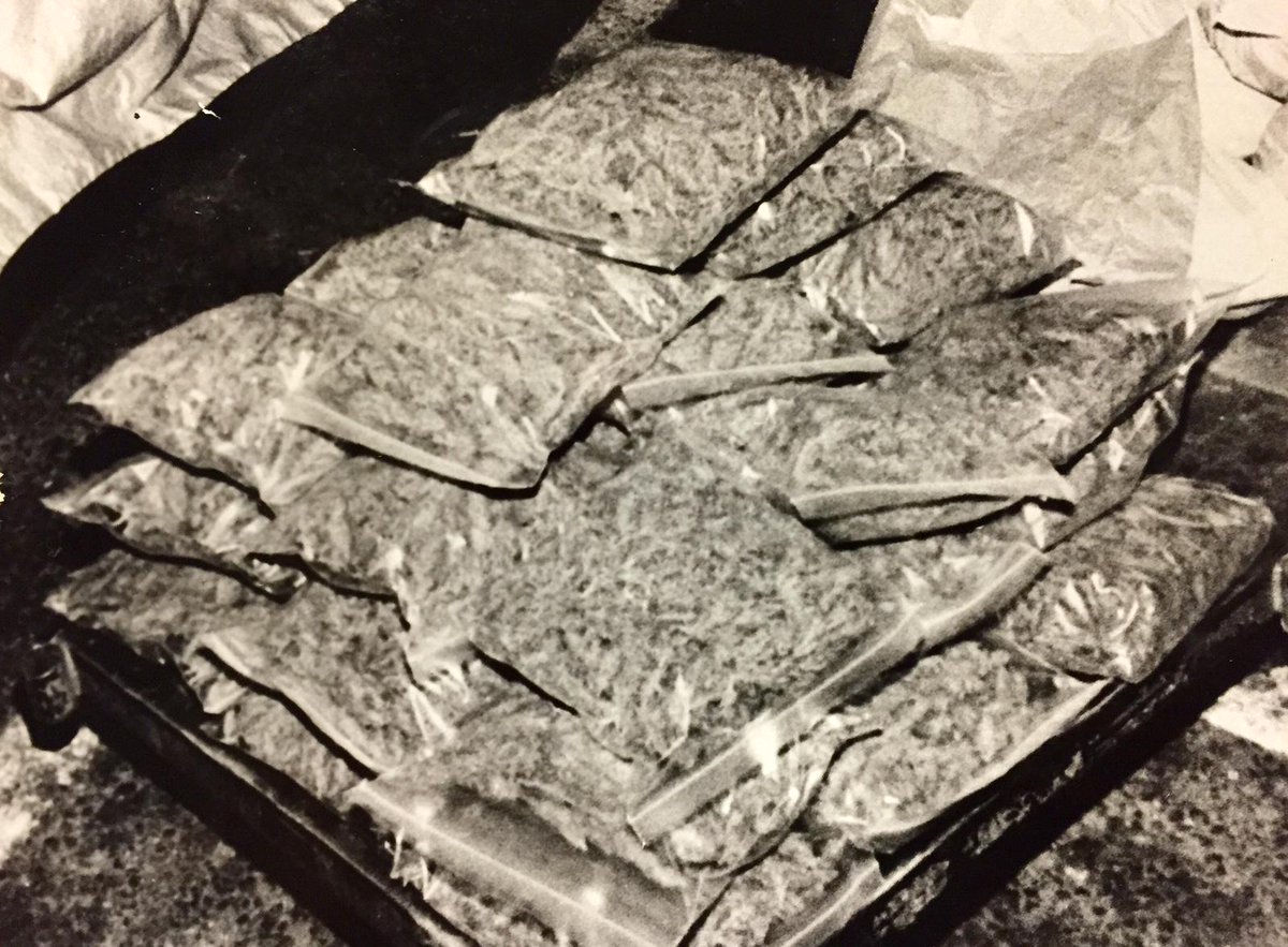 peterhartlaub's tweet image. Meet the first man busted for marijuana in Bay Area history. #LocoWeed blog.sfgate.com/thebigevent/20…