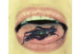 Comer grillos, el secreto de la belleza de Salma Hayek. bit.ly/1QcpCDP