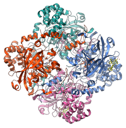 NGHScience tweet picture