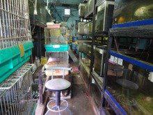 p_animal_q's tweet photo. 「鳥かごに猫」「不潔で悪臭」…苦情１００件、劣悪環境のペットショップ(パピオン)に業務停止命令(産経新聞) http://t.co/WkJ3O4BzuC

パピオンを問題視したブログ http://t.co/CrhqSOBkaz http://t.co/9LHDNNi1y9