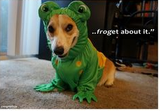 captroutpond's tweet photo. Seriously?  #gettingfroggywithit http://t.co/NohXZm9F1g