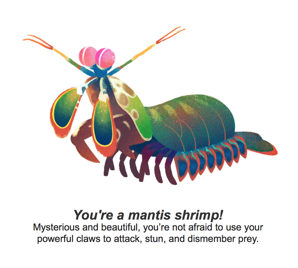 bcoooooper's tweet image. What the hell google