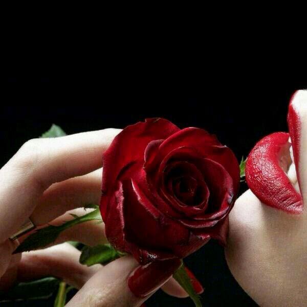 jna12000's tweet photo. @momo44557 يسلمو روحي ربي مايحرمني منك http://t.co/KSiCkw4mPd