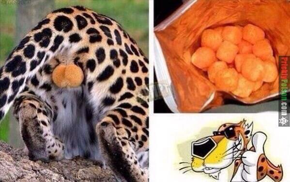 It all makes sense now