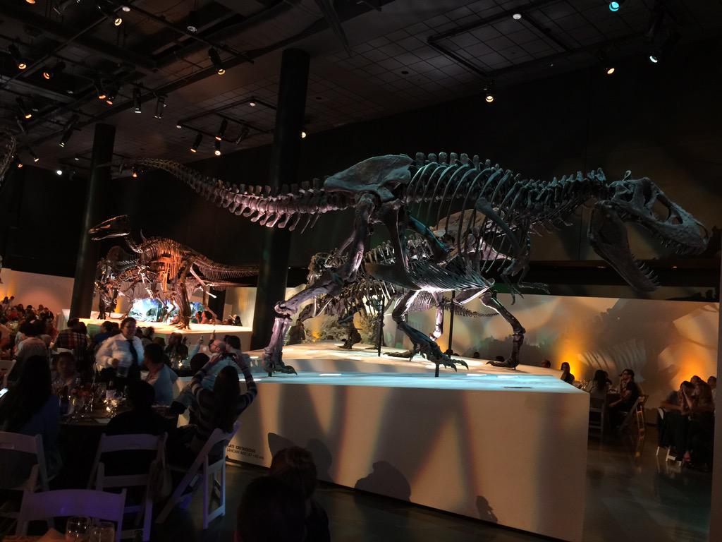 djsummertime85's tweet photo. @LCS5472 @EAS_Hayes @JamesRomesberg #P2E #diningwithdinosaurs #allaboutdadollaman #CI_Rocks http://t.co/6zgtpLFxHt