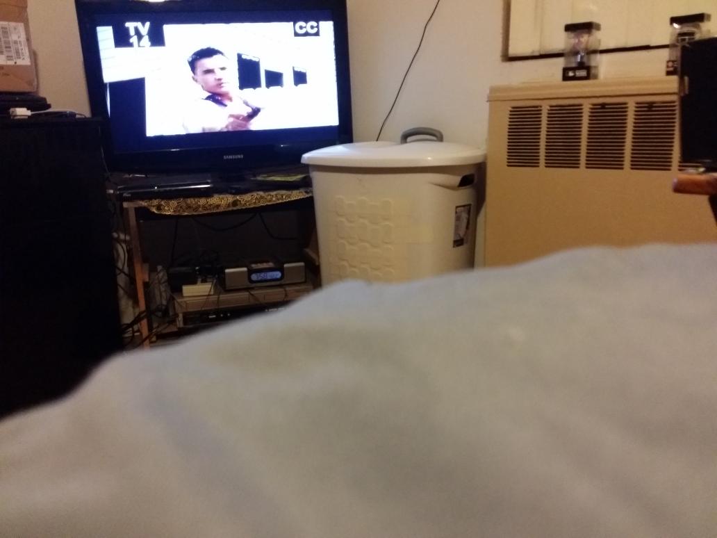 17738657966's tweet image. #voicesaverob