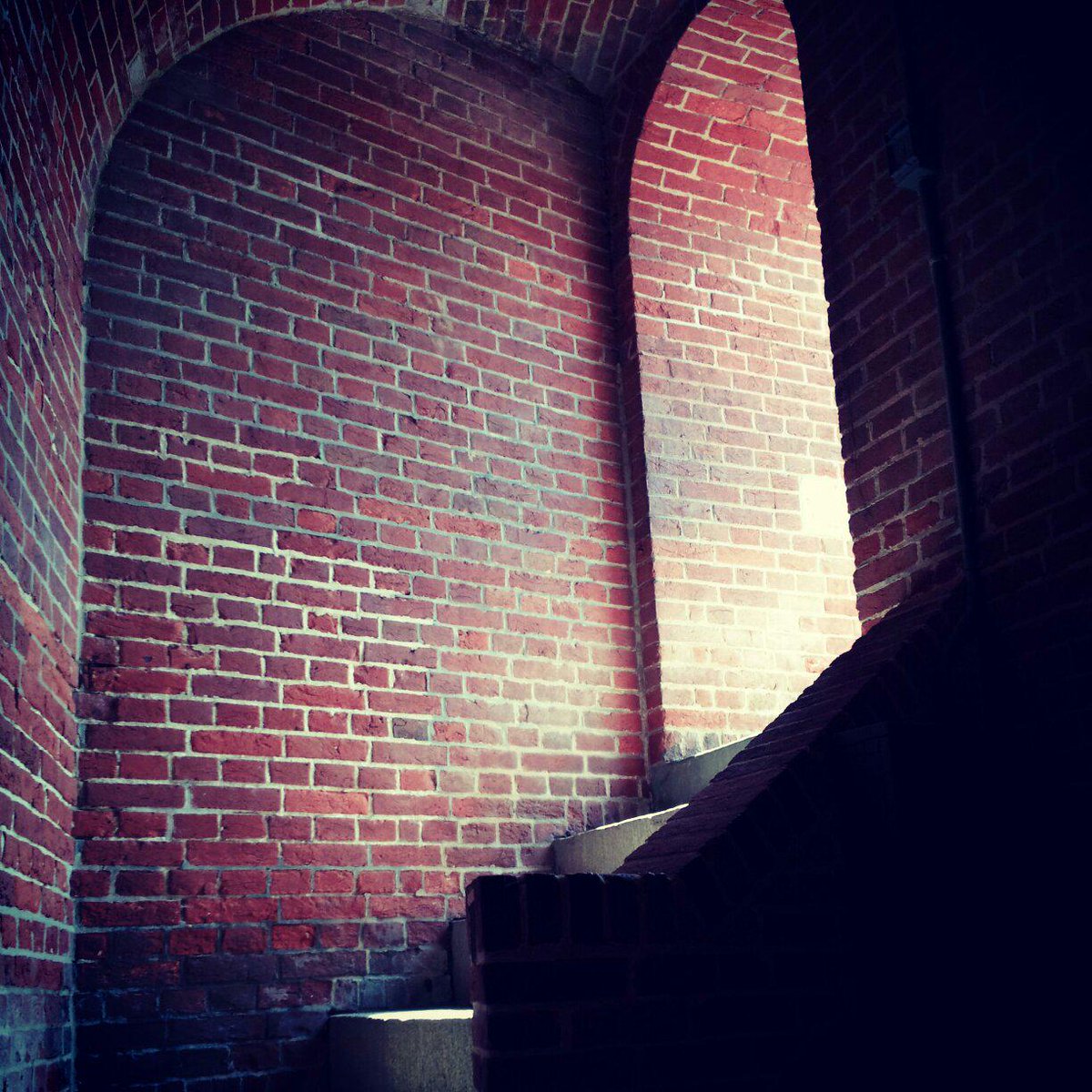 VeryLoRi's tweet image. 