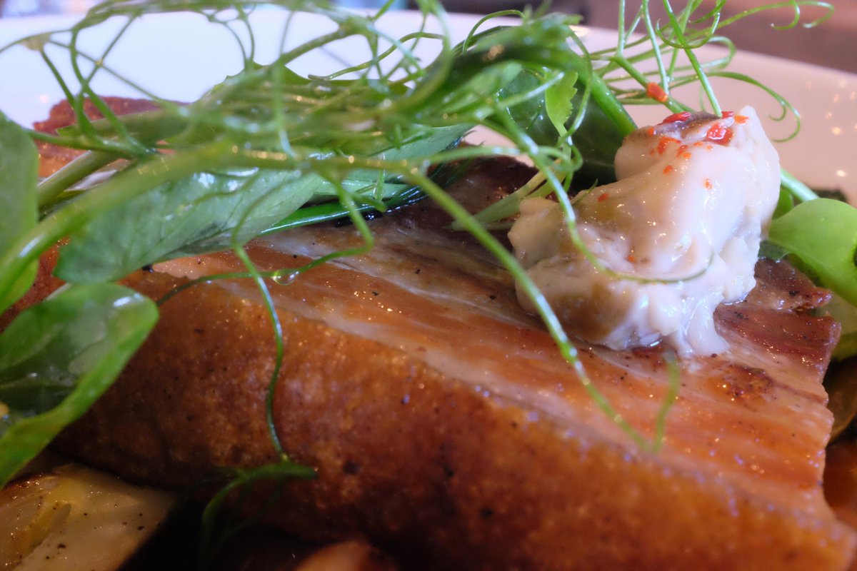 lactoferment's tweet photo. Outrageous pork belly at @WoodsHillTable in West Concord, MA #realfood #foodporn #nomnom #nomnomnom #bacon http://t.co/NHelUDWUp9