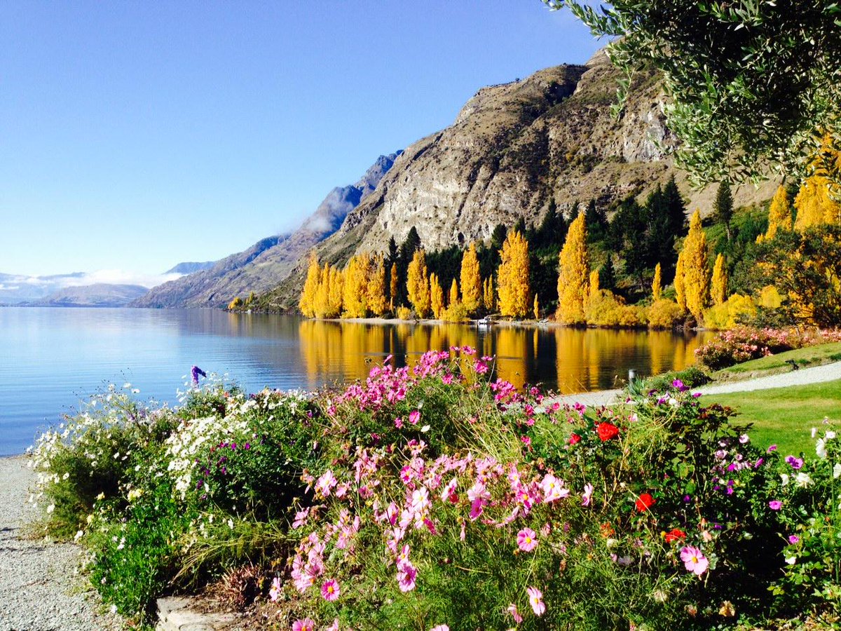 #WalterPeak is looking spectacularly autumnal this afternoon - thanks to Jamie for the great shot! #QueenstownLive