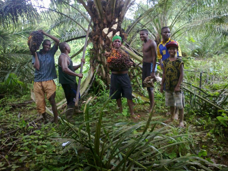 MuidWilliam's tweet image. papua barat -manokwari