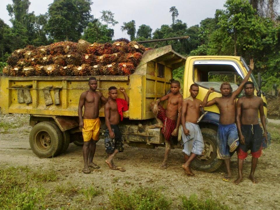 MuidWilliam's tweet image. papua barat -manokwari