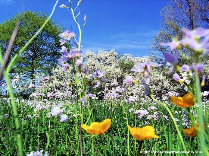 ClimateReality's tweet photo. Join us &amp; @Upworthy for a climate Twitter chat on #EarthDay2015 from 12 - 1 PM ET http://t.co/OJud1fZdMz http://t.co/DM6PfELJV8