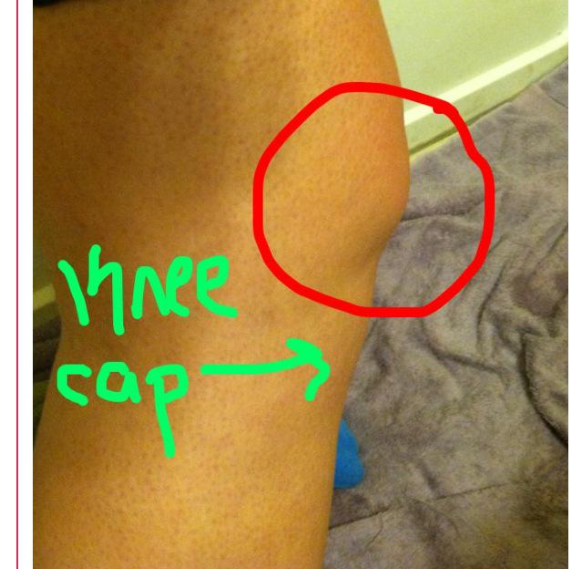 Tinaarenee98's tweet photo. I have a little bump @ohiovarsity http://t.co/iaQrnXmyqh