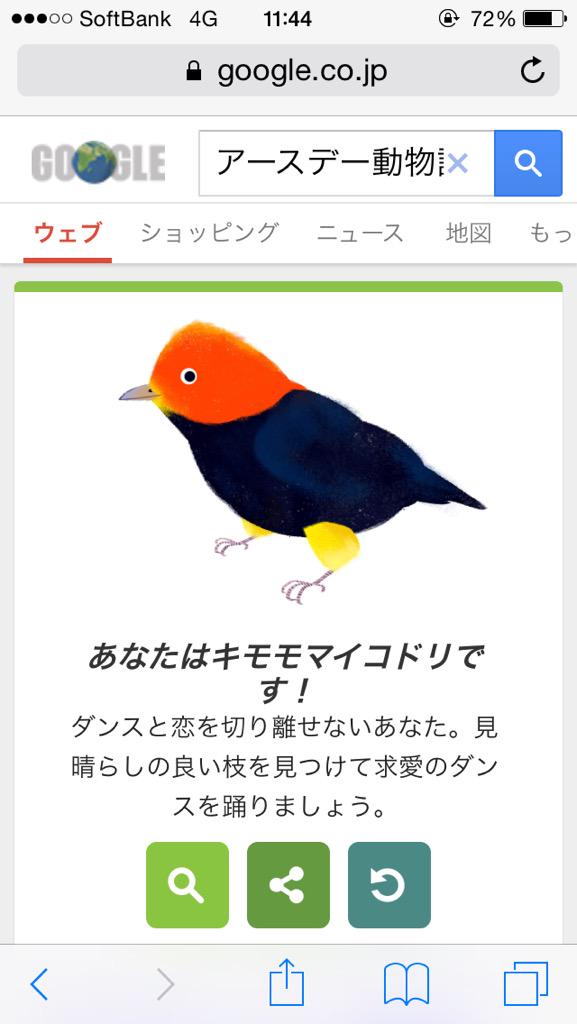キモモマイコドリ Twitter Search Twitter キモモマイコドリ Twitter Search Twitter