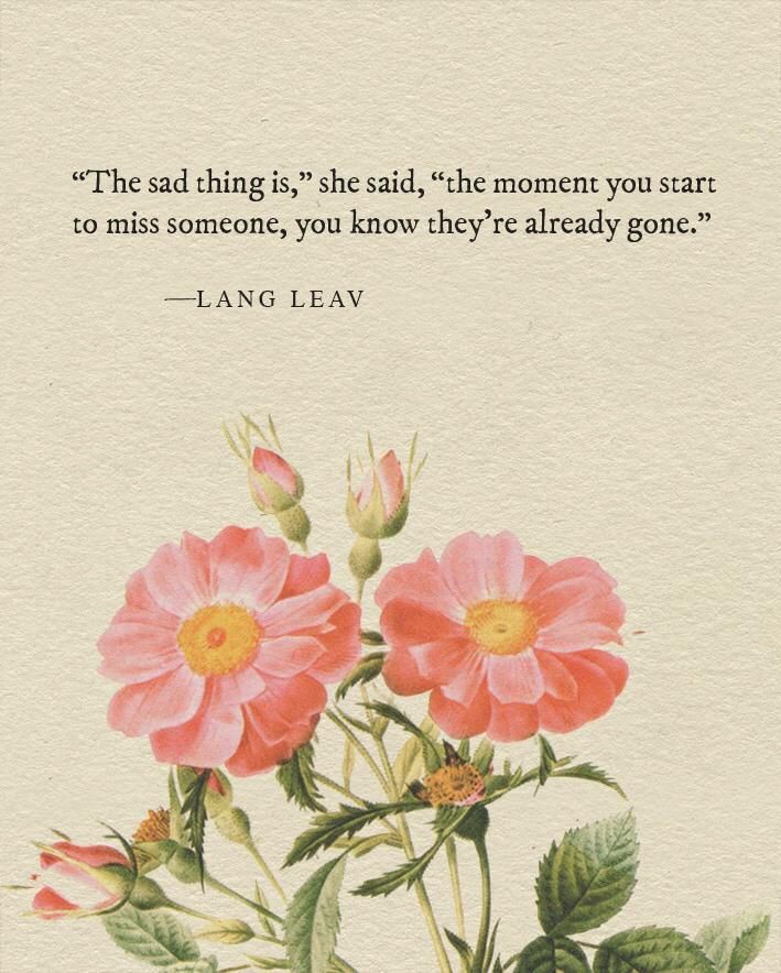 alluewe's tweet photo. Good morning 🌞 
@langleav hopelessly romantic 😍 http://t.co/hqtriUMpQH