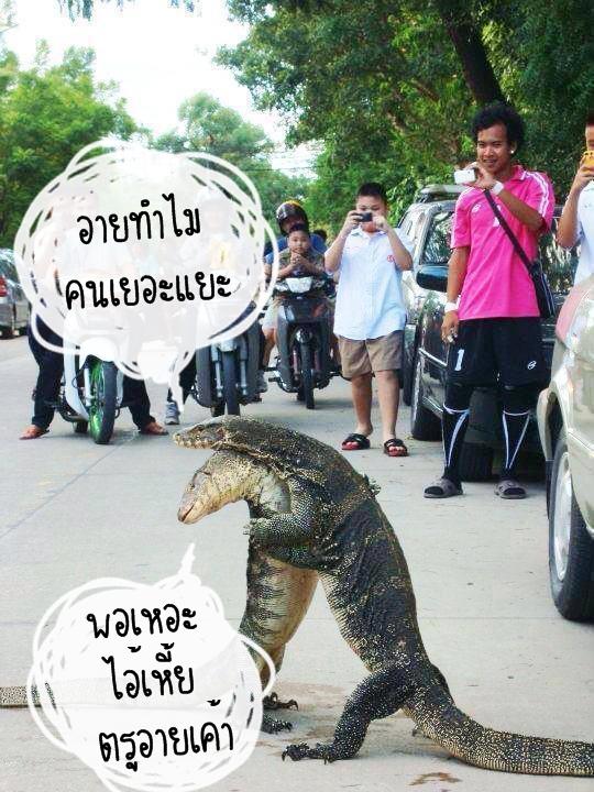 win_deisel's tweet image. 