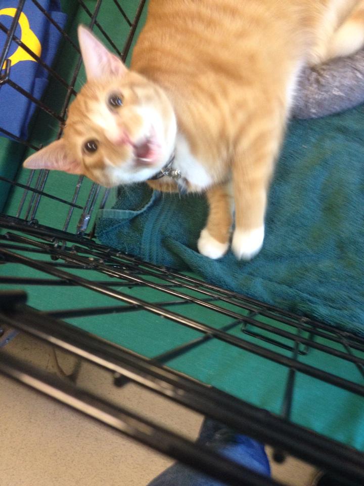 Alum Kudu had a lot to say about Picnic Day. Thanks for visiting our booth and for all your support!