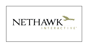 NetHawk interactive  the best at b2b online marketing #scawardsus #b2b #onlinemedia