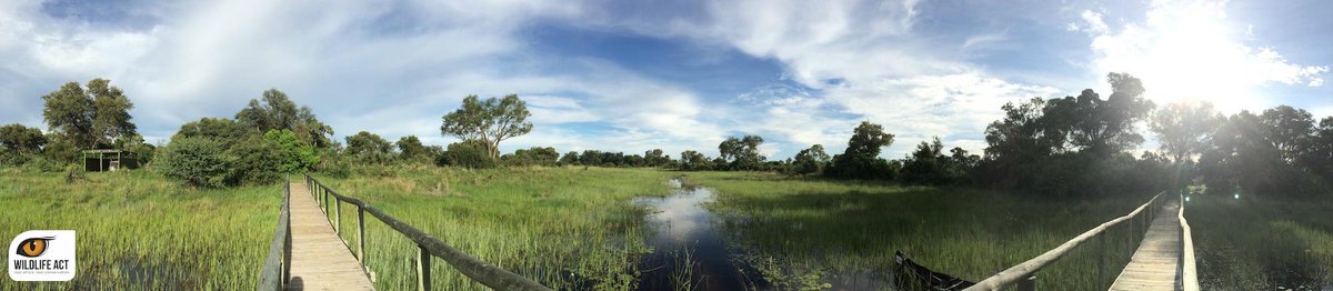 _Botswana's tweet photo. This is our first tweet from Wildlife ACT in Botswana! Check us out on http://t.co/c3Dapa73Ex http://t.co/RrYQG3oSyb http://t.co/HG7XZoLc3m