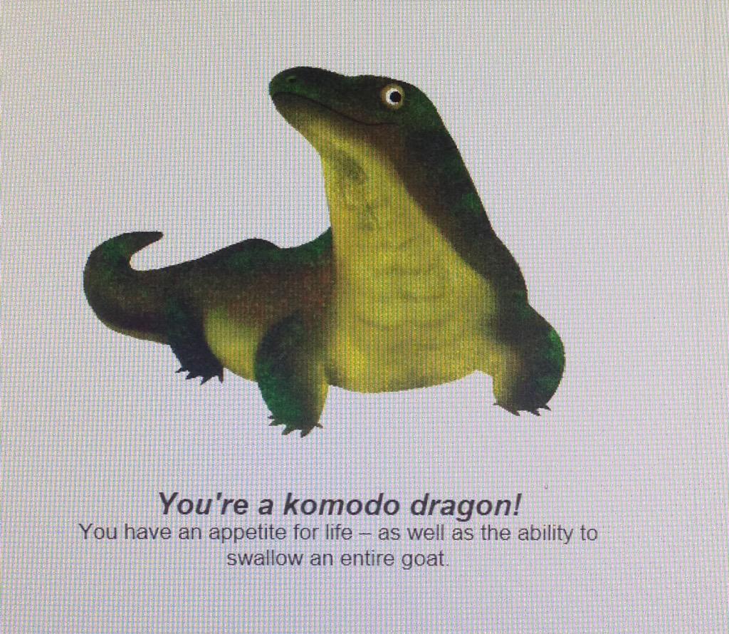 jules884's tweet photo. So, apparently I'm a Komodo Dragon! π #GoogleEarthDayQuiz #GoatsBeware #IveSwallowedWorse #Grrr http://t.co/PoIH7UudlZ