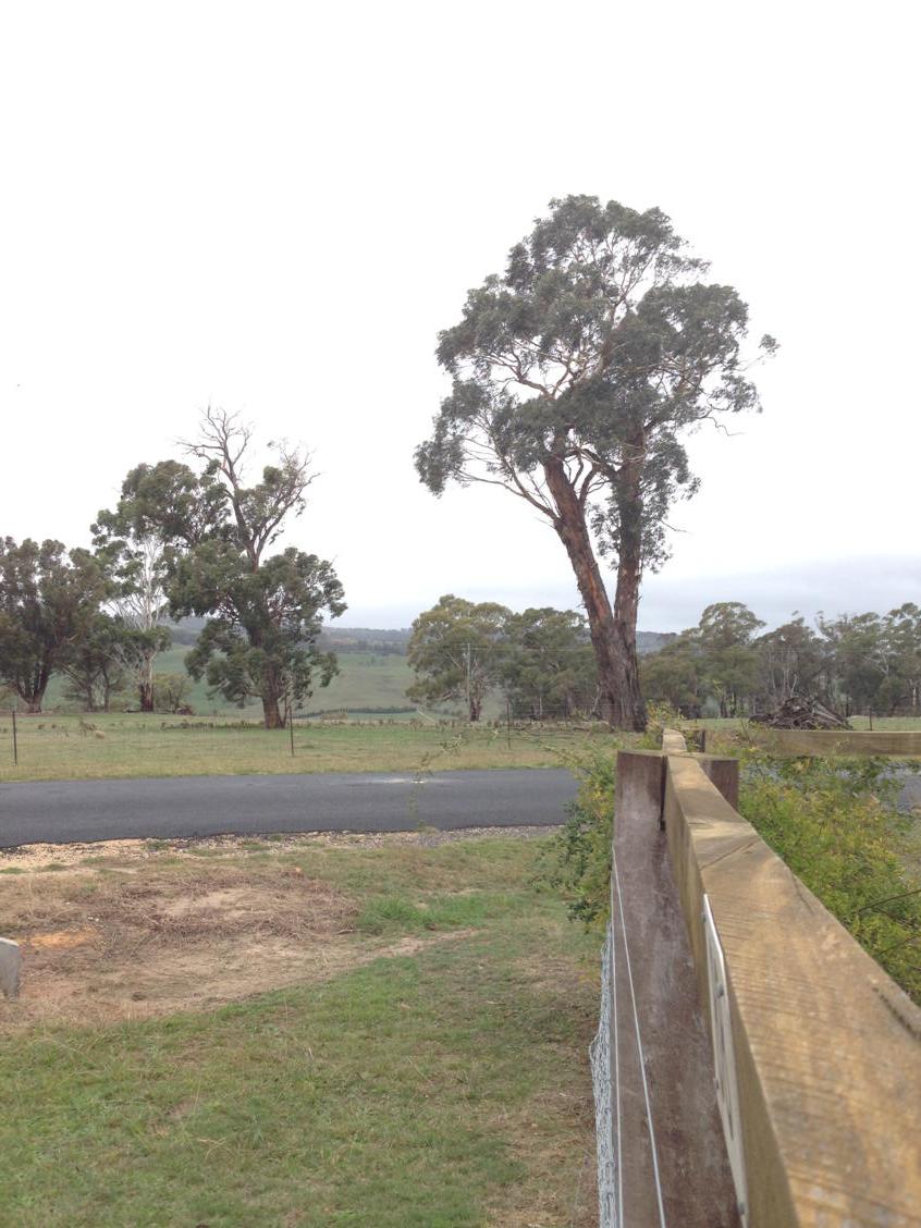 cactusian's tweet image. Day 549 #MyFrontGate instead of #MyFrontDoor