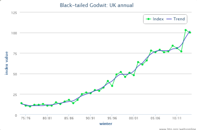 The UK continues to support more Black-tailed Godwits from Iceland bit.ly/1rvdIHq #WeBSReport
