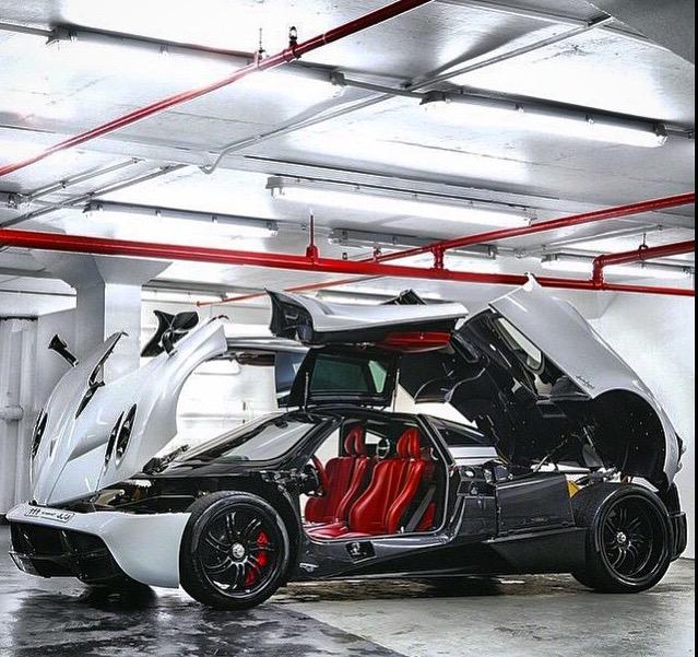 Exotic Addiction tweet media