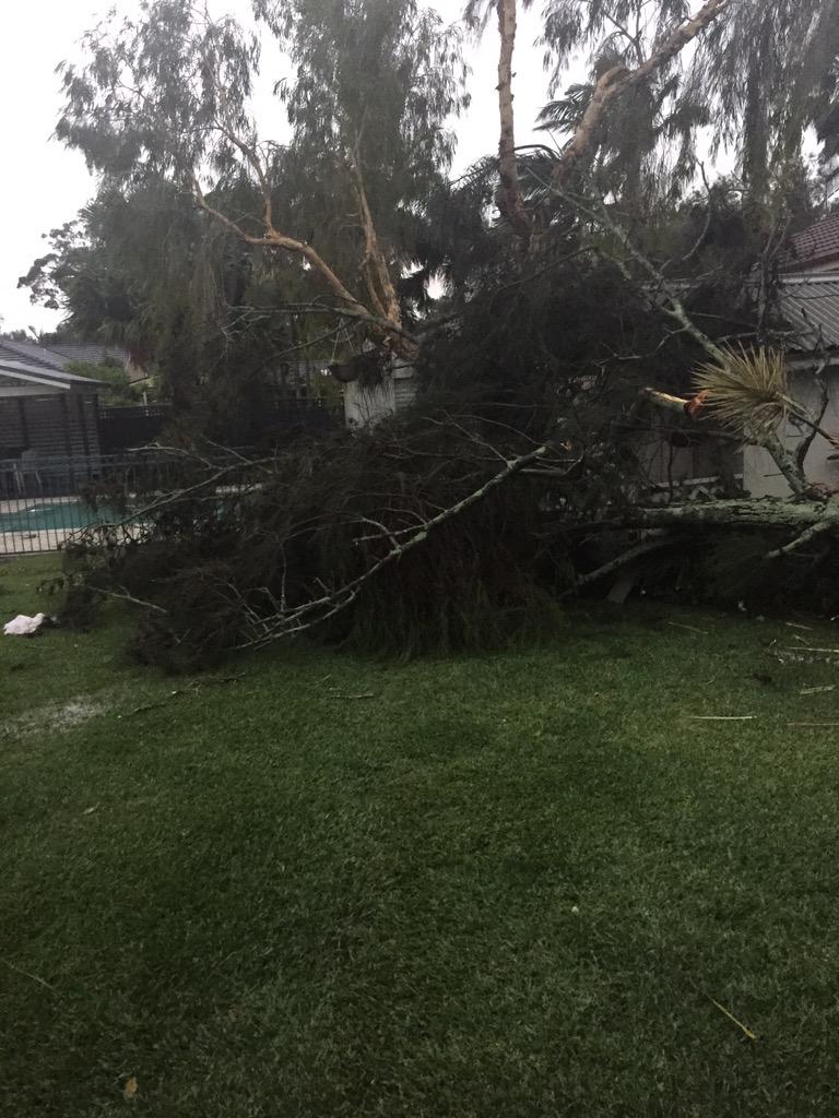 huntoli's tweet photo. Woke up to my 7 year old screaming that a tree had come through the fence. Stay safe everybody http://t.co/BryB3lKDtt