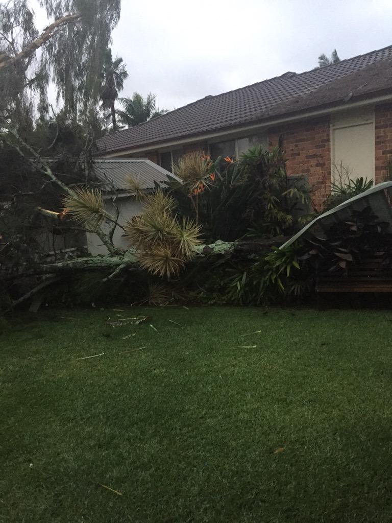 huntoli's tweet photo. Woke up to my 7 year old screaming that a tree had come through the fence. Stay safe everybody http://t.co/BryB3lKDtt