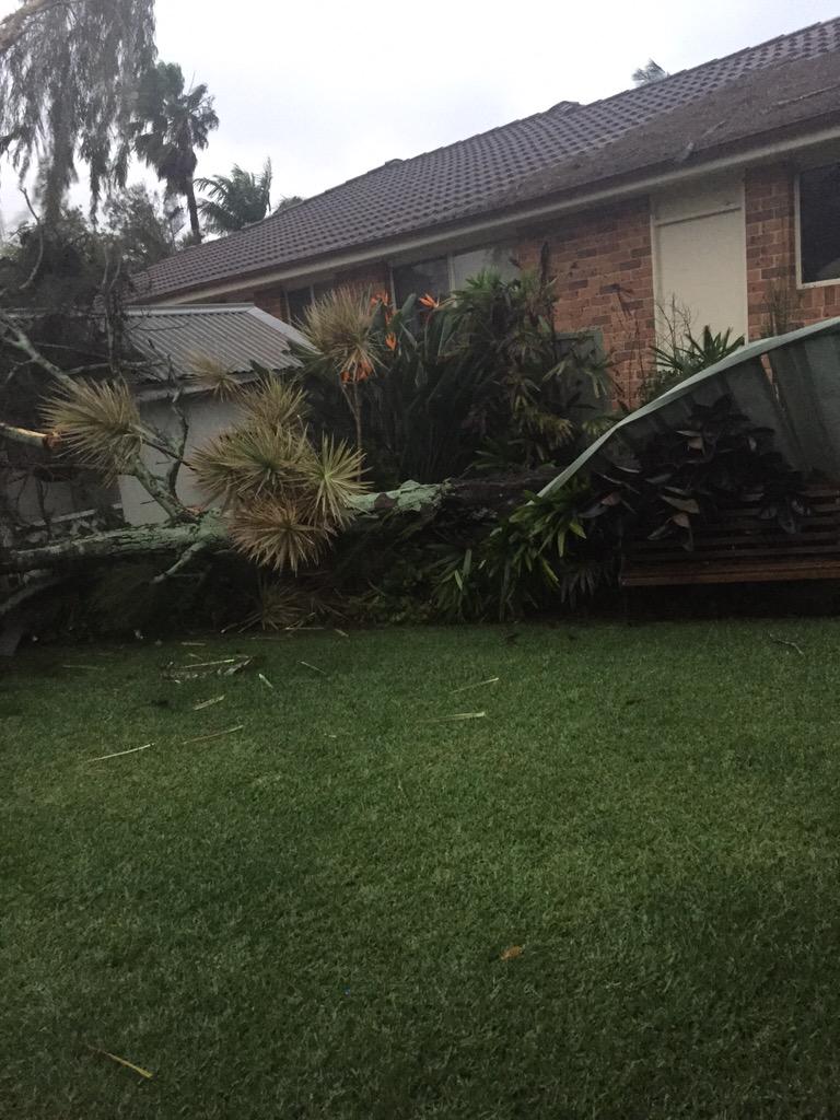 huntoli's tweet photo. Woke up to my 7 year old screaming that a tree had come through the fence. Stay safe everybody http://t.co/BryB3lKDtt