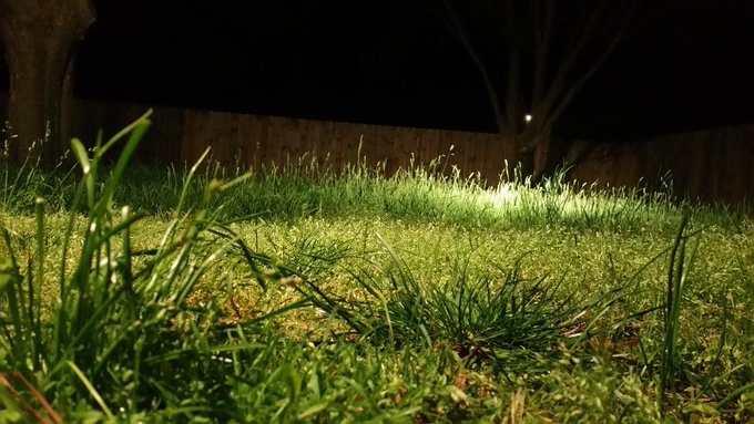 Crossing my fingers that it doesn't rain tomorrow so that I can finally get my grass cut. It looks like<a href="/tag/ff"class="tags"><span>#ff</span></a>
